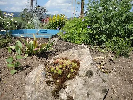 Diana Отель Фельдберг