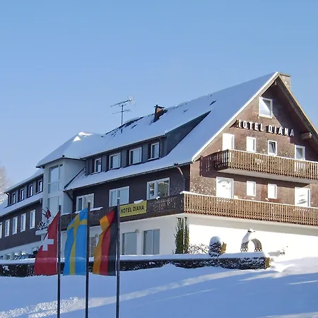 Hotel Diana 3*