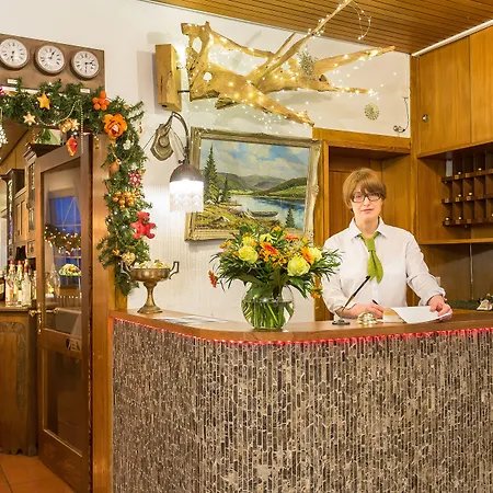 Отель Diana Фельдберг