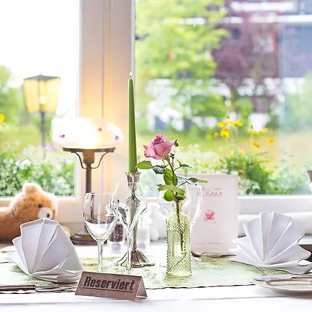 Отель Diana Фельдберг