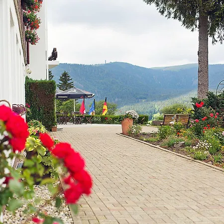 Hotel Diana 3*