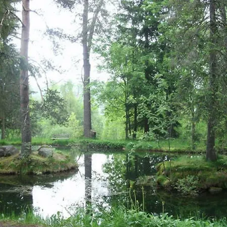 Diana Hotel Feldberg (Baden-Wurttemberg)