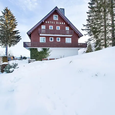 Отель Diana Фельдберг