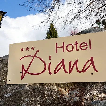 Diana Szálloda Feldberg