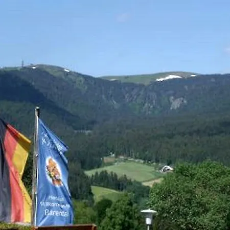 Отель Diana Фельдберг