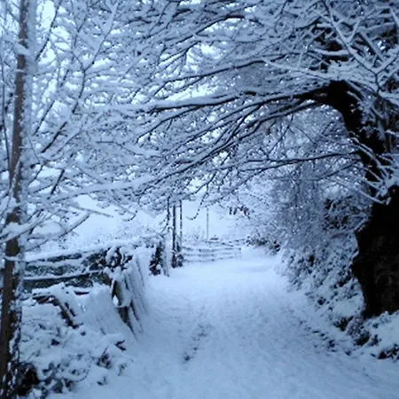 Diana 3* Feldberg (Baden-Wurttemberg)