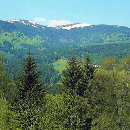 Diana Feldberg (Baden-Wurttemberg)