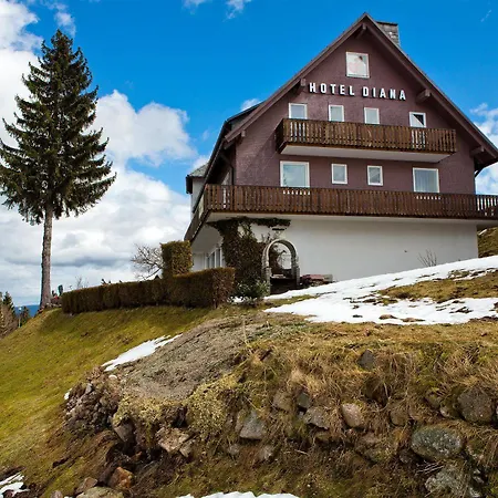 Hotel Diana Feldberg (Baden-Wurttemberg)