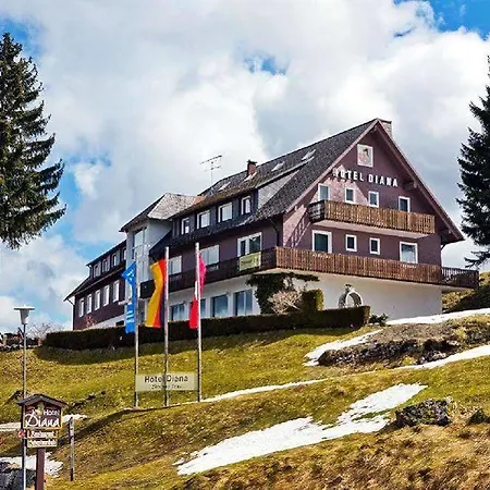 Diana Feldberg (Baden-Wurttemberg)