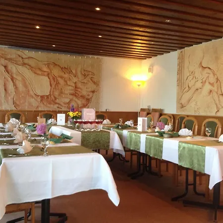 Diana Hotel Feldberg (Baden-Wurttemberg)