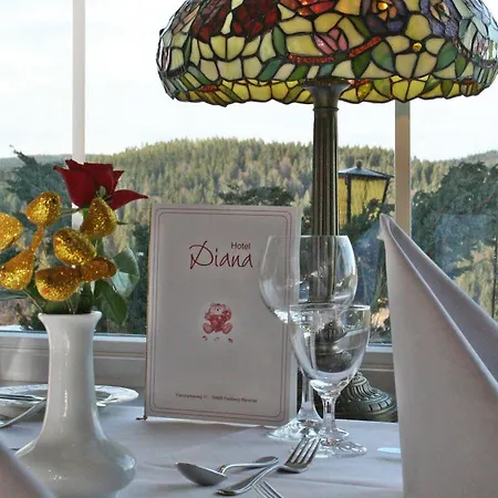 Hotel Diana 3*