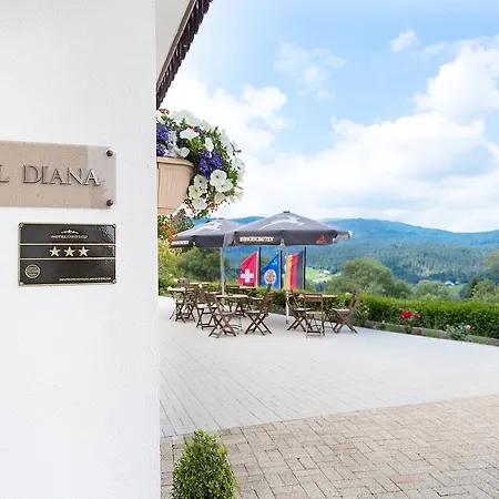 Diana 3* Фельдберг