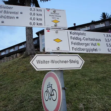 Diana Feldberg (Baden-Wurttemberg)