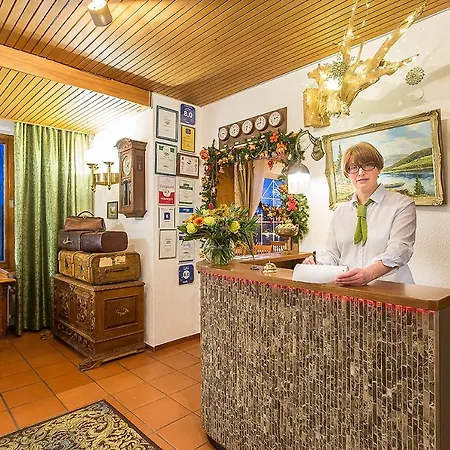Hotel Diana Feldberg (Baden-Wurttemberg)