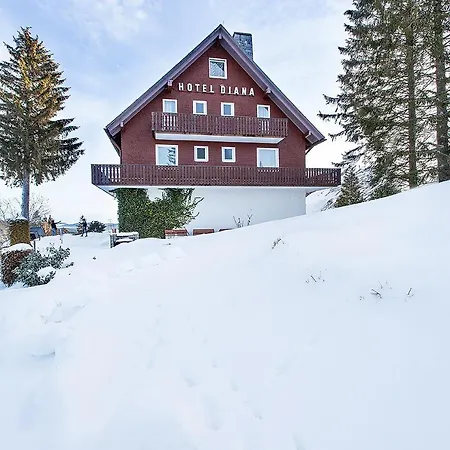 Diana 3* Feldberg (Baden-Wurttemberg)