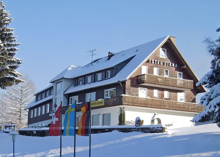 ホテル ディアーナ 3*