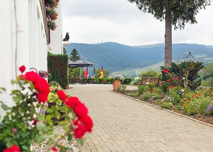 ホテル ディアーナ 3*