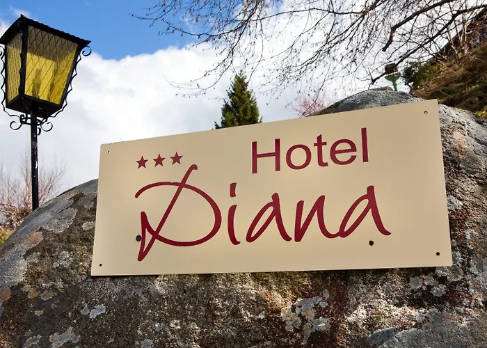 ディアーナ ホテル フェルトベルク