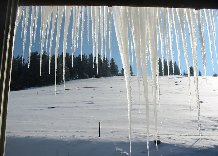 ホテル ディアーナ 3*