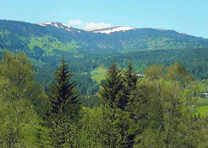 ディアーナ フェルトベルク