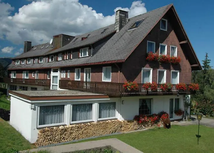 ディアーナ ホテル 3*