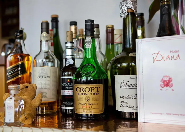 ディアーナ 3* フェルトベルク