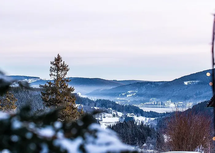 ディアーナ 3* フェルトベルク